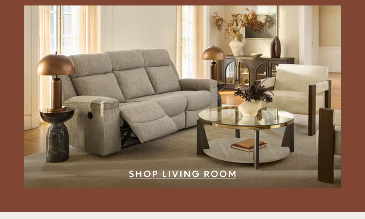 Shop Living Room