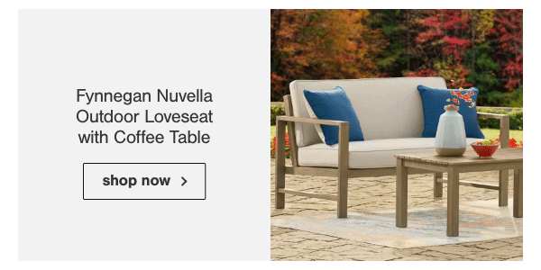 Fynnegan Nuvella Outdoor Loveseat with Coffee Table Shop Now